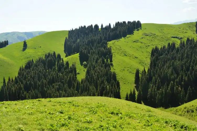(快乐行走户外)7月22日(周日)一恒带您南山小渠子高山草甸赏花摄影徒