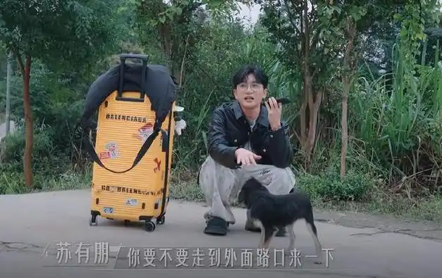 打分评价都"一针见血"|谢娜|何炅|谢楠|林心如|苏有朋|演艺事业_网易