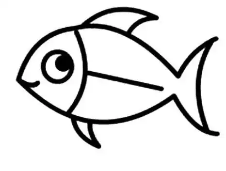 可爱的小鱼简笔画简单漂亮的小鱼简笔画儿童简笔画漂亮的小鱼儿儿童简