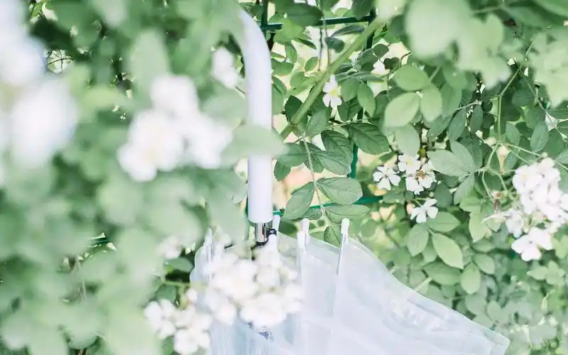 留学小贴士|怎样缓解出 offer 前的焦虑?