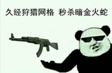 csgo皮肤押韵表情包 押韵无敌