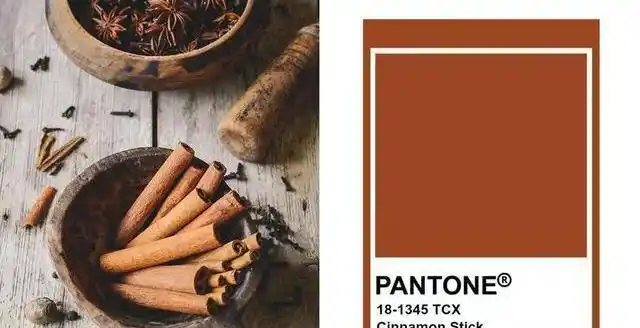 肉桂的棒色有土质的温暖,与咖啡色和巧克力色的组合相似,还有肉桂的