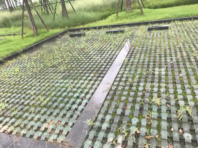 江心洲生态停车场