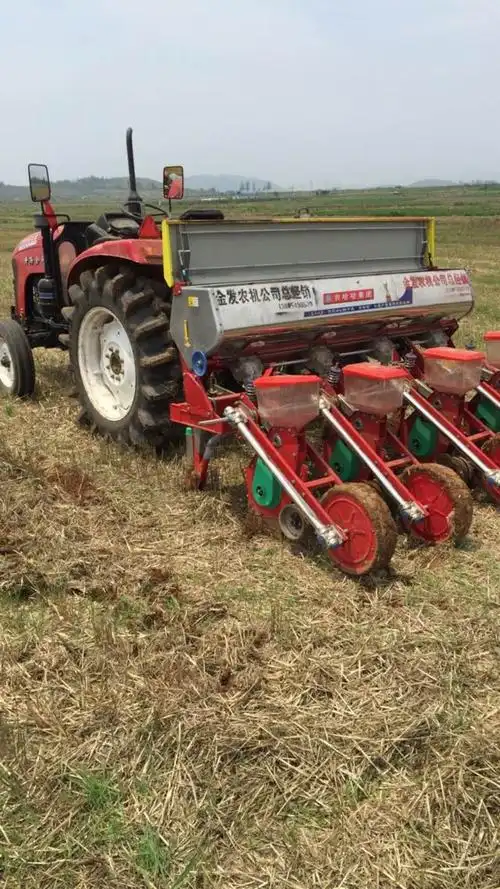 夏播玉米品种选择与播种技术