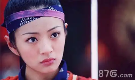 高的刘亦菲了,作为第一代的仙剑女主角赵灵儿的扮演者其人气相当之高