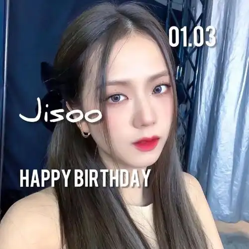jisoo金智秀生日头像应援三