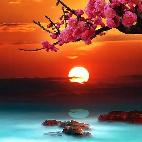 日出大海桃花香_微信头像风景图片_扣扣居