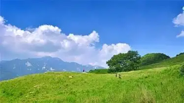 流峪寺高山草甸藏在田园中的草甸自驾徒步露营骑行皆佳