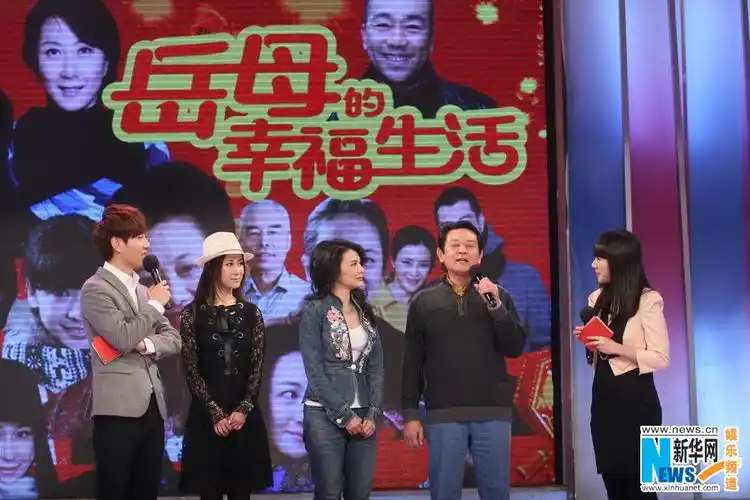 星文化传媒有限责任公司和海宁敦盛影视传媒有限公司共同出品的电视剧