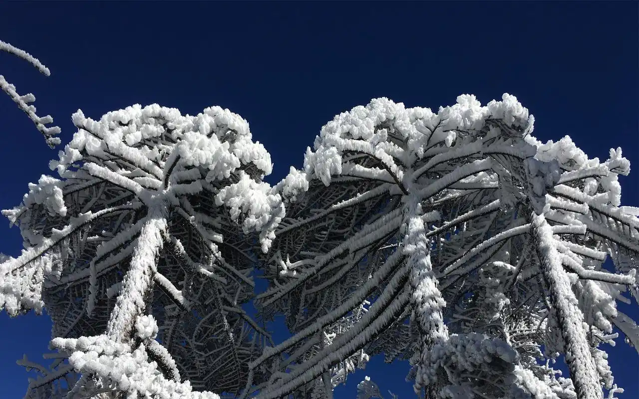 冬日大理雪景图片电脑桌面高清壁纸