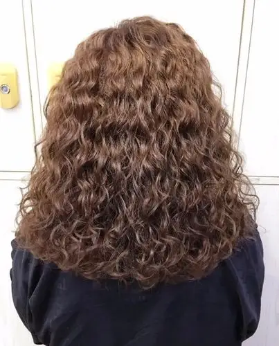 2018狗年流行"泰迪卷