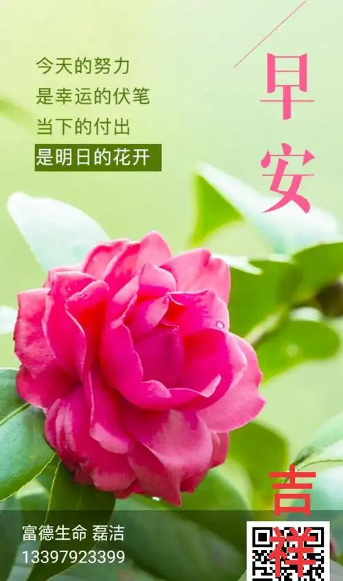 平淡生活中,宝宝们健康快乐,灿烂的笑是咱们最大的安慰!