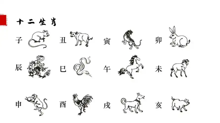 什么样的生肖容易给自己捣乱