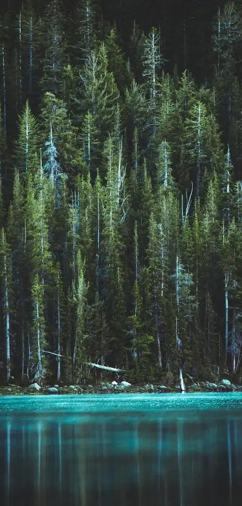 iphonex壁纸-最美壁纸不过如此-2期