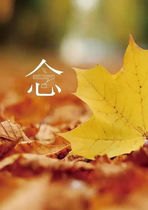 人生,止语是智慧,止心是修行