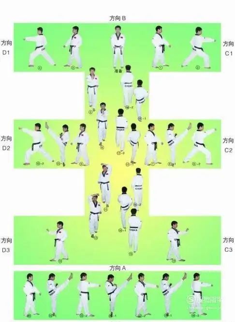 太极一章至八章的分解动作