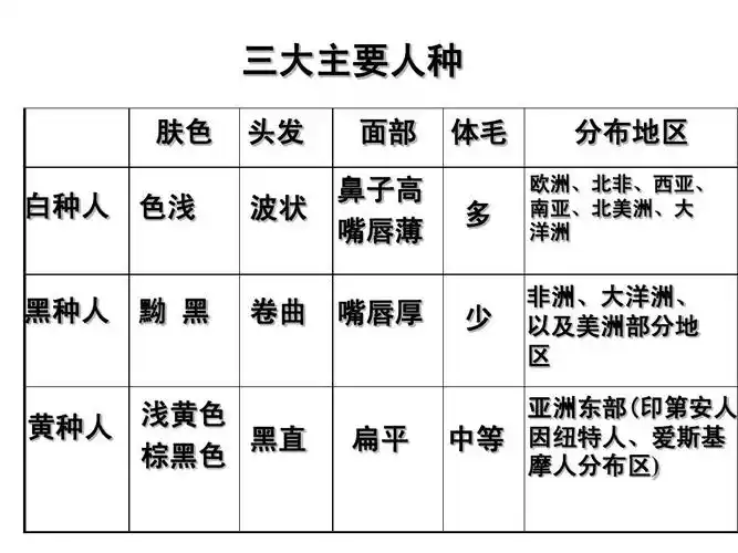 世界地理(世界的居民和国家)答案ppt 三大主要人种 肤色 白种人 色浅