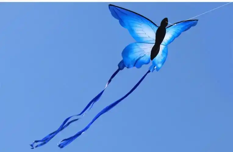 潍坊风筝 蝴蝶风筝 蓝蝴蝶夜光led风筝 新款成人儿童卡通线轮微风