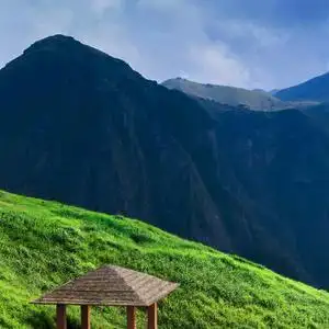 平安是福,67年的羊陈姐头像