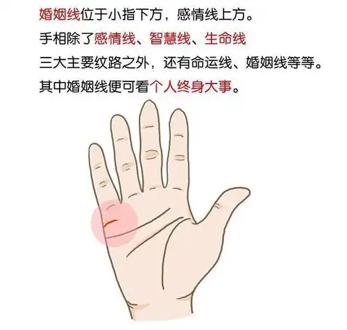 只看一条婚姻线就知道!