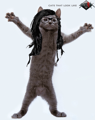 猫咪gif跳舞gif假发gif搞笑gif