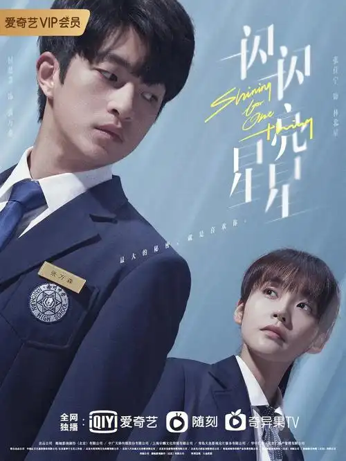 电视剧推荐一闪一闪亮星星