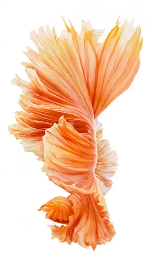 iphone 6s高清原生壁纸下载 苹果6s手机壁纸 22张ios9 系列壁纸-易看