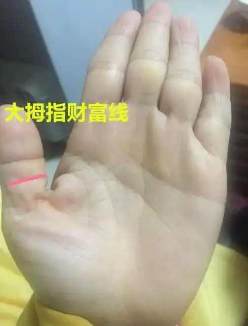 "财富线"长在左右大拇指上,一生不会操劳,能守住财!_女士
