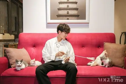 王俊凯与猫,猫系少年的逗猫日常_文/源凯