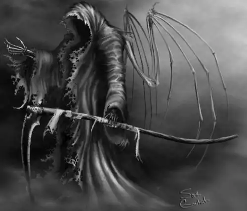 谁能帮我把这两张图片做成cf皮肤?