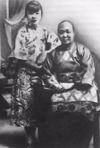 老照片:袁世凯的妻妾们_姨太