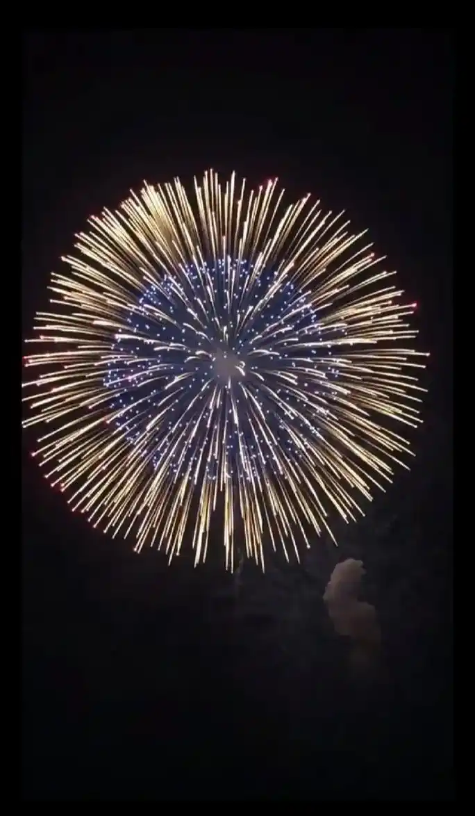 虽然今年不能在家里放烟花爆竹但这几张图片真的很好看祝大家新年快乐