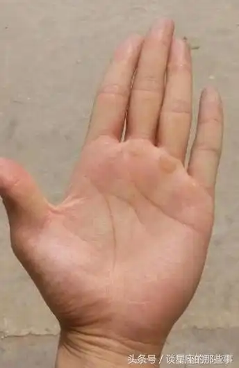 长寿之人的手相,此生必能大富大贵