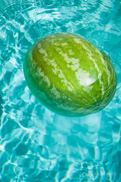 绿色西瓜照片-正版商用图片19v4cz-摄图新视界