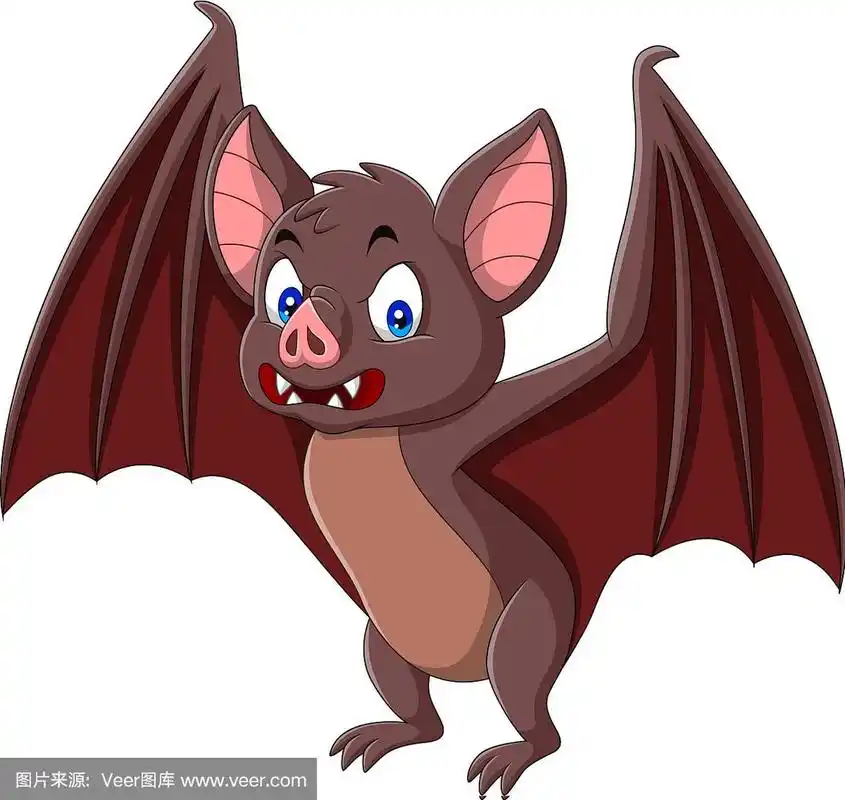 卡通蝙蝠孤立的白色背景