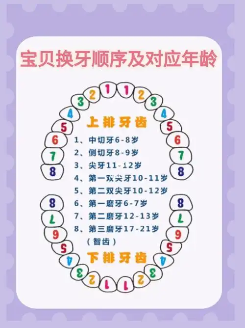 您孩子换牙顺序对吗?【宝妈必看】