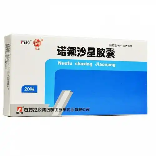 石药 诺氟沙星胶囊 0.1g*20粒