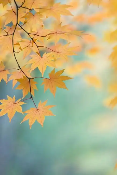 初秋的景致别有一番滋味