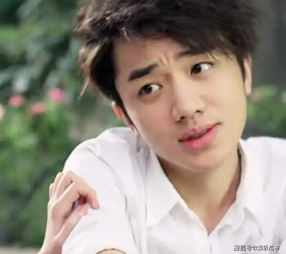王祖蓝年轻时候长得可清秀了,当初跟angelababy合作的《矮仔多情》