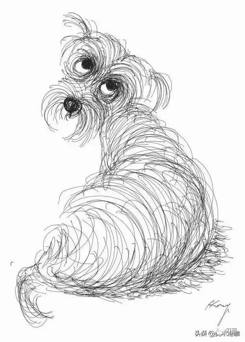 什么只用乱线就画好了