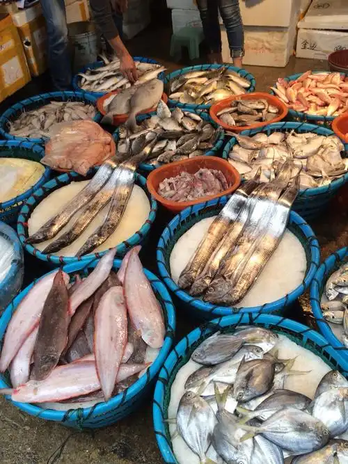 去厦门吃海鲜,最实惠的做法就是去这里现场购买,然后回到住的客栈自己