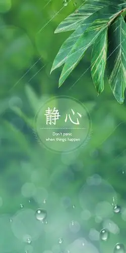 保持静心的态度