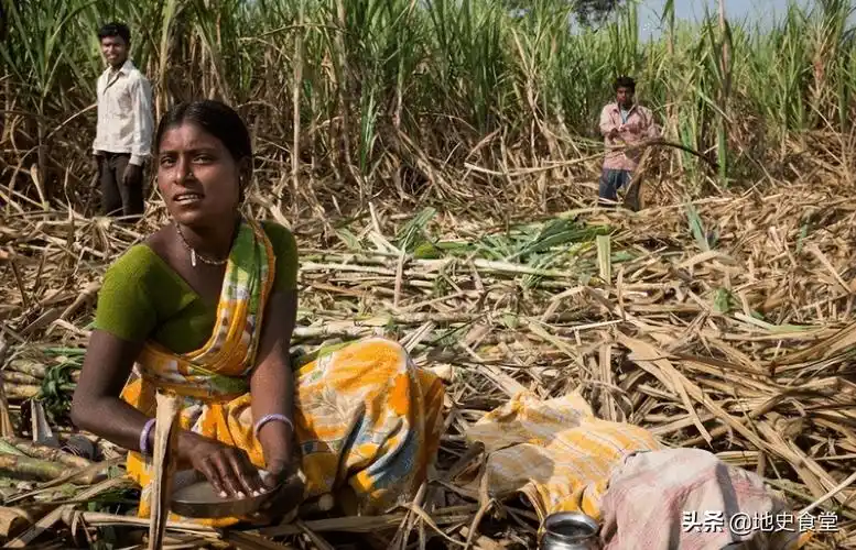 印度人是什么人种(印度的5个人种盘点)