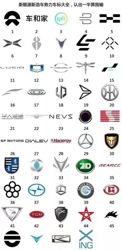 电动车品牌问世,将于洛杉矶发布,然而名字被网友玩坏了_搜狐汽车_搜狐