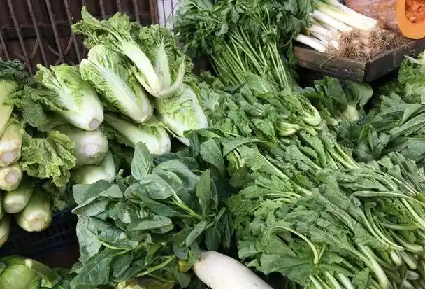 贵阳:我们小区内菜市场里一个蔬菜摊位的一对老夫妻