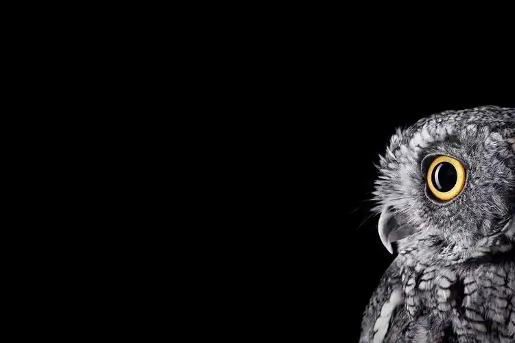 有哪些好看的 ipad 壁纸? - 知乎