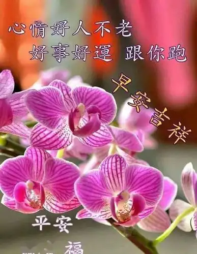 5月6日,特别漂亮的早上好图片表情问候语!