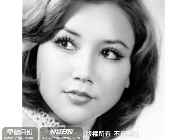 邵音音风花雪月图