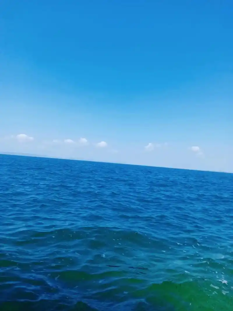 家门口的大海～丹江口市百喜岛.蓝天白云,青山绿 - 抖音