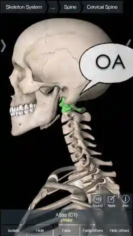 【乐健身】脖子前倾了怎么办?关爱孩子和家人您必须要知道这些!